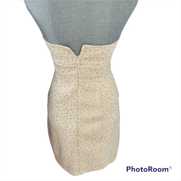 Cynthia Steffe Diandra Metallic Dress - Picture 5 of 8